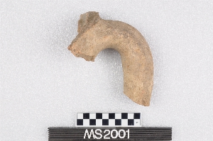 MS2001