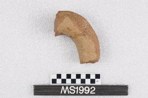 MS1992