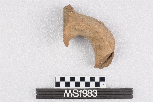 MS1983