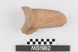 MS1982