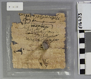 E16273