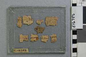 E16756