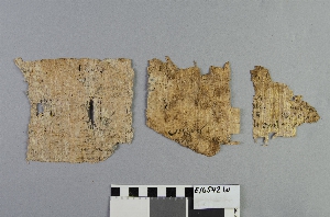 E16542W