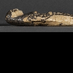 531555