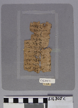 E16305C