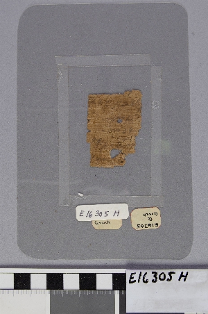 E16305H