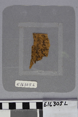 E16305L
