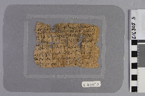 E16305S