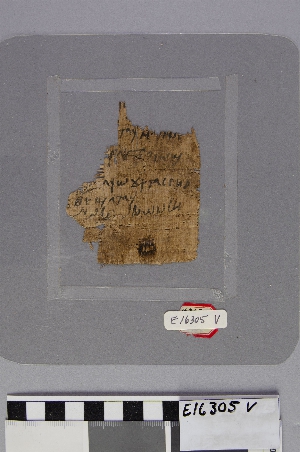 E16305V