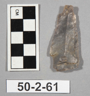 50-2-61
