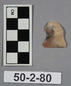 50-2-80