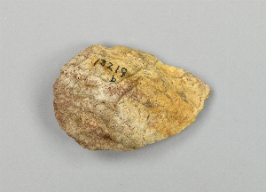 13219B