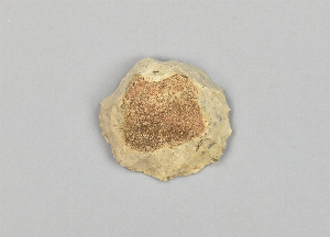 13219E