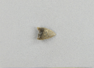 29-210-107