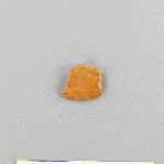 536029