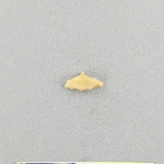 536043