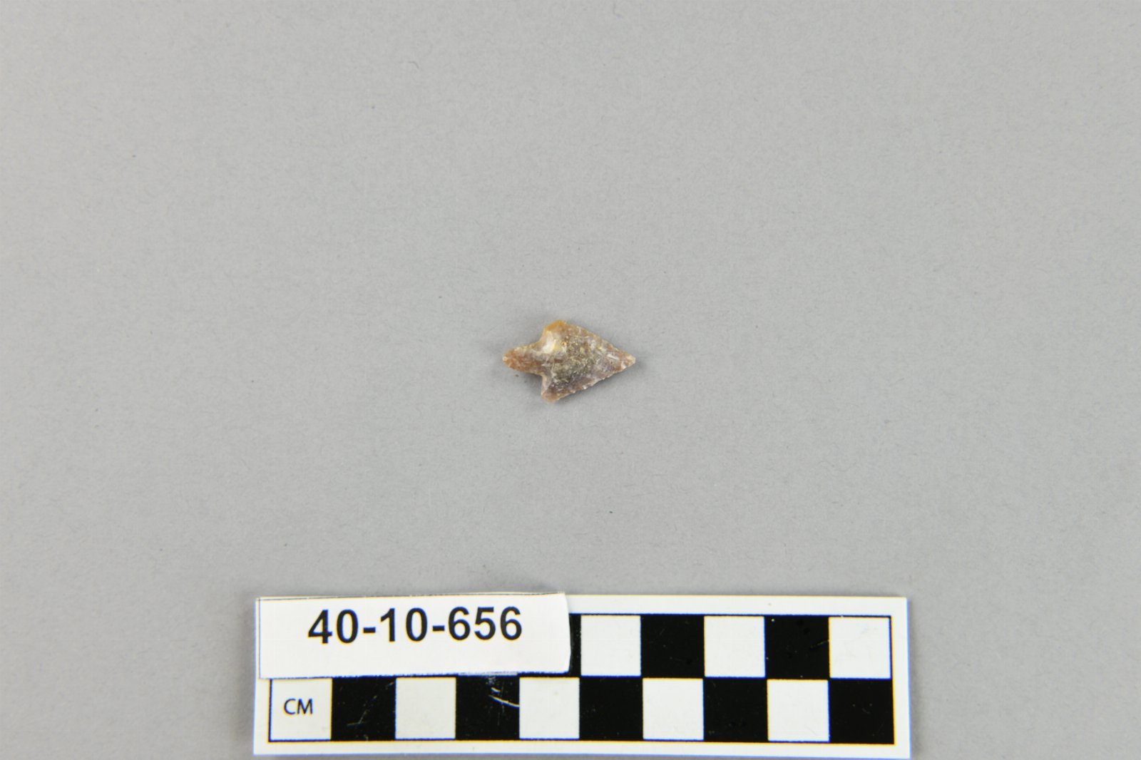 537038