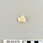 537629