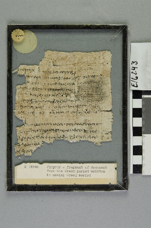 E16243