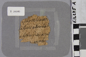 E16285A