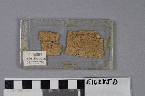 E16285D