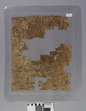 E16656