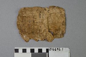 E16696