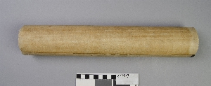 E17319
