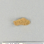 538084