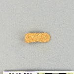 538136