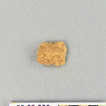 538204