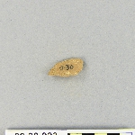 538254