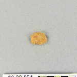 538256