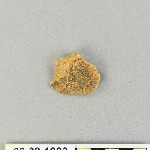 538404