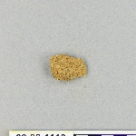 538629