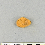 538750