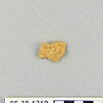 539016
