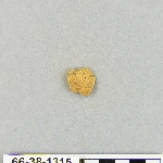 539026