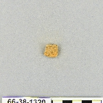 539036