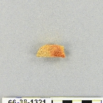 539038