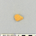 539040