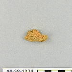 539044