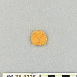 539046