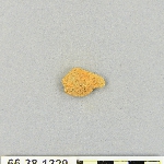 539054