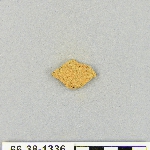 539080