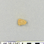 539093