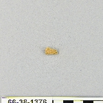 539160