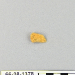 539164