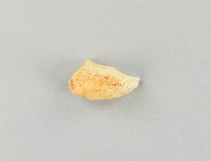 66-38-1461