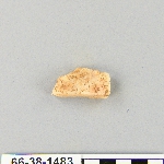 539404